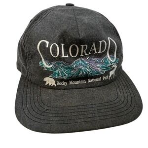 Vintage Colorado Rocky Mountain National Park Hat Grey Snapback USA Made